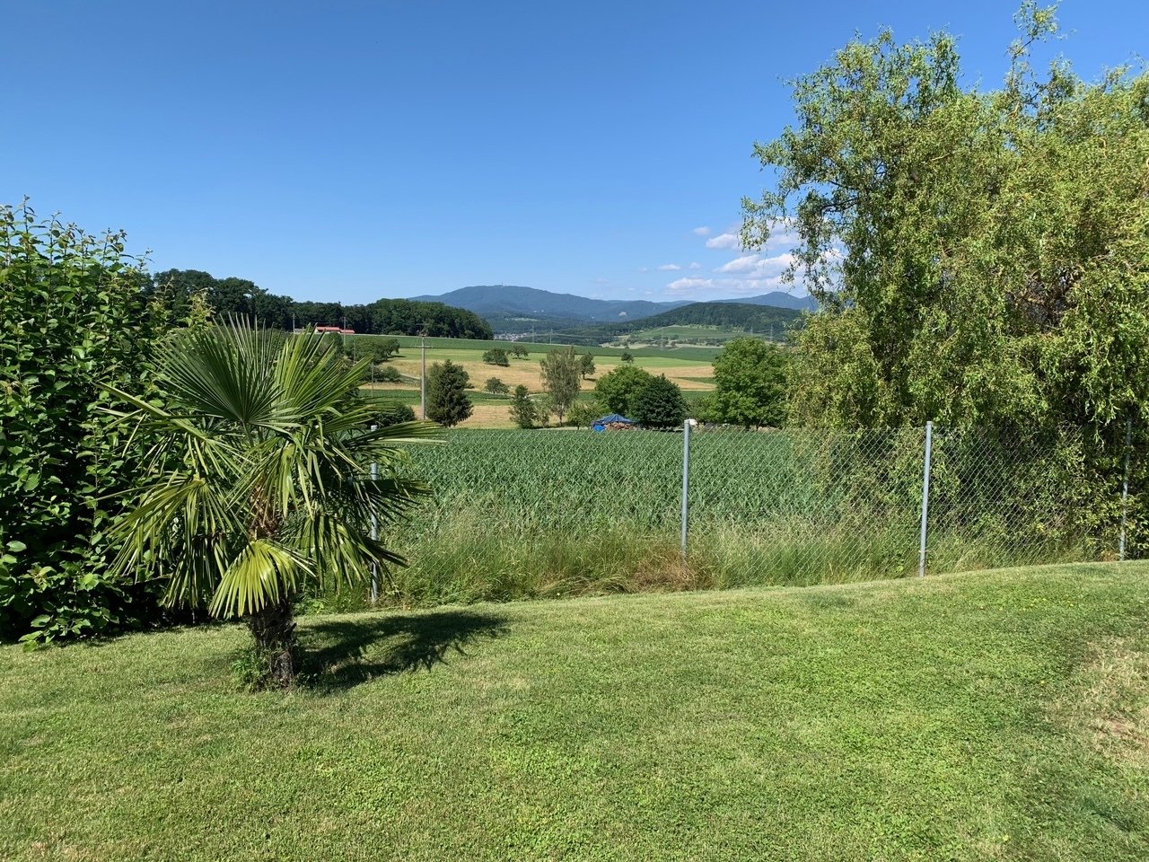 Fernblick auf den Berg Blauen