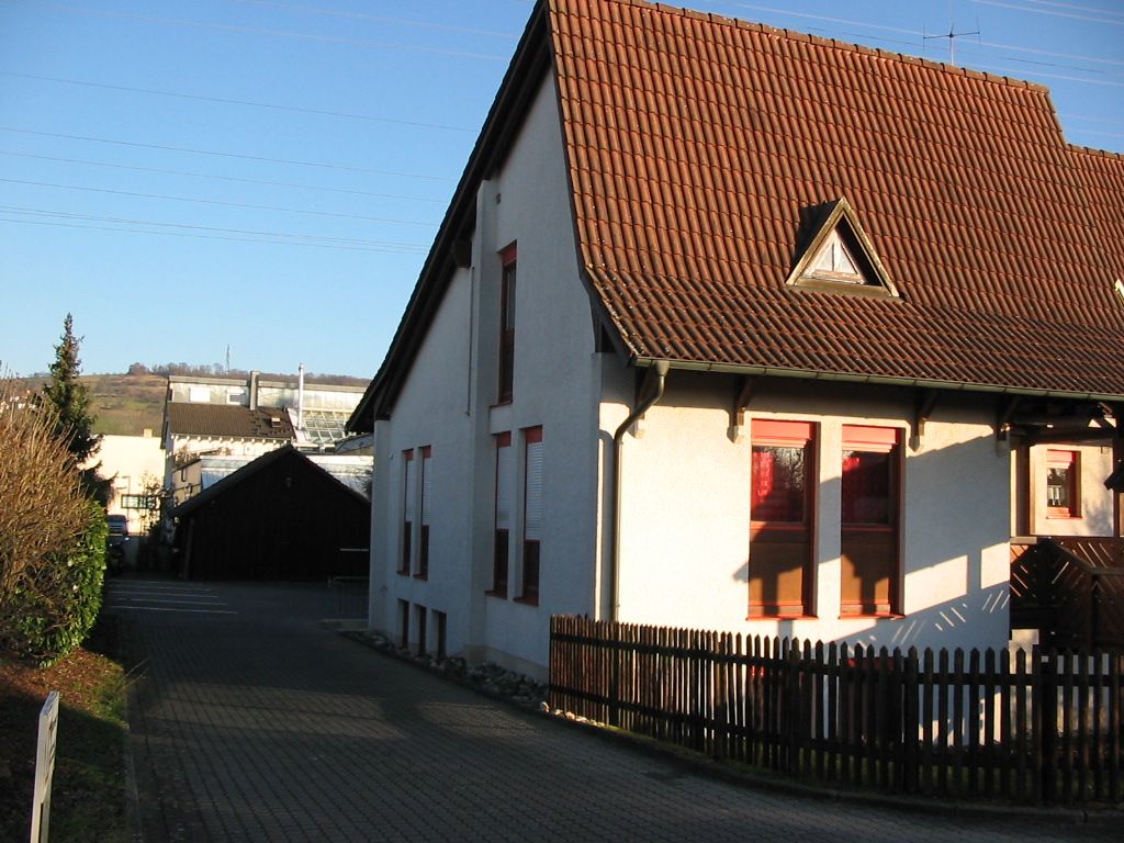 Straßenseite u. Zufahrt Parken